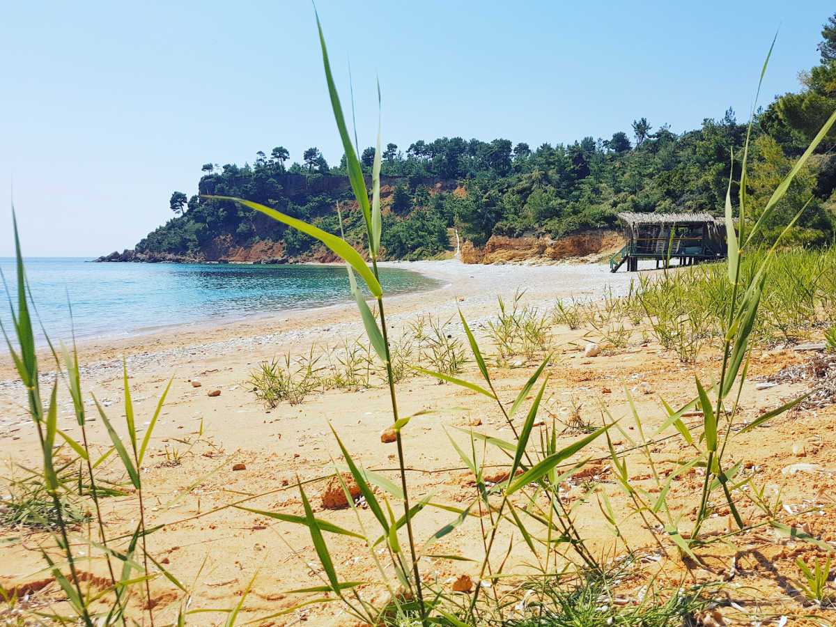 Angelos Suites Alonissos